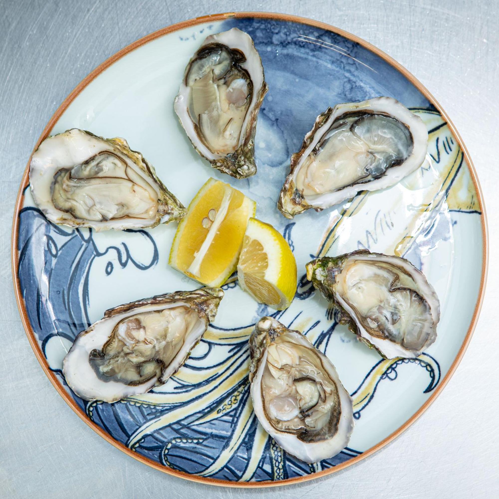 Ashes Seafood Restaurant Accommodation Dingle Exterior foto