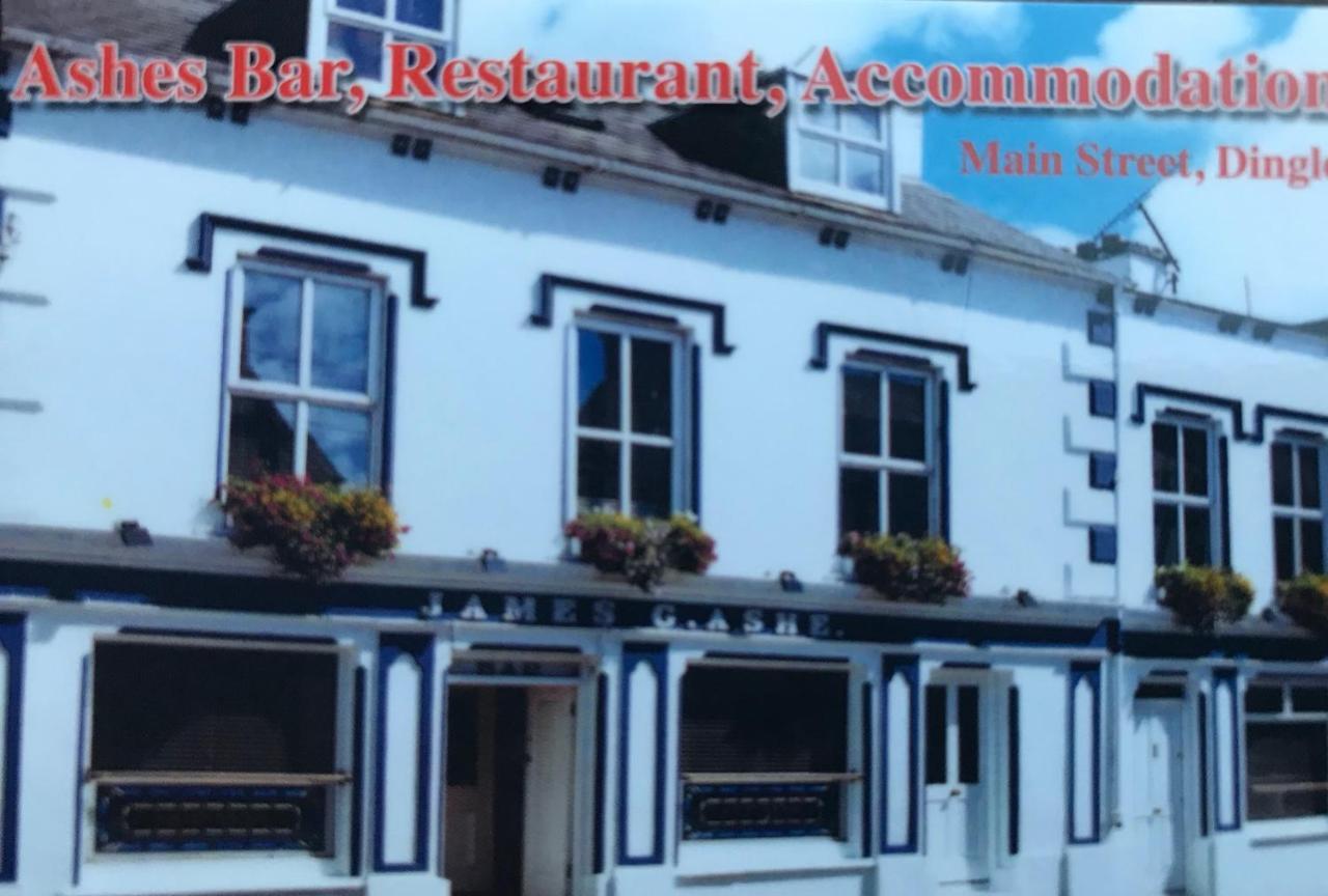 Ashes Seafood Restaurant Accommodation Dingle Exterior foto