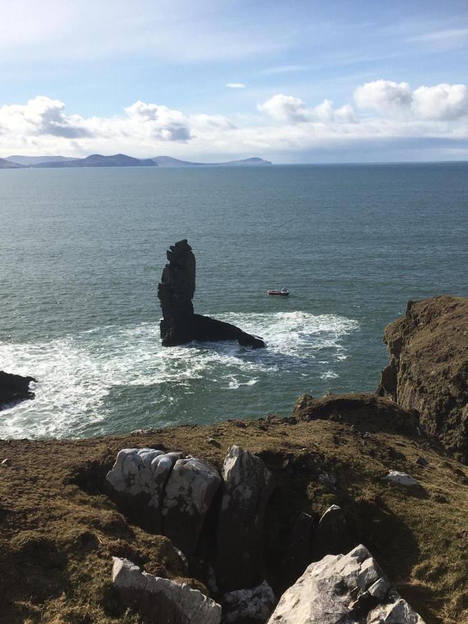 Ashes Seafood Restaurant Accommodation Dingle Exterior foto